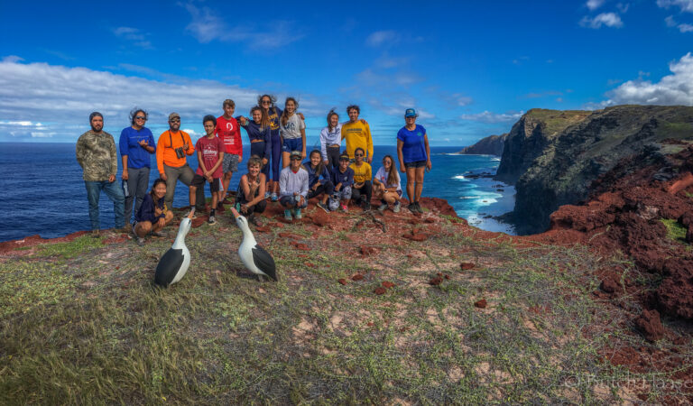 Volunteer – Mokio Preserve