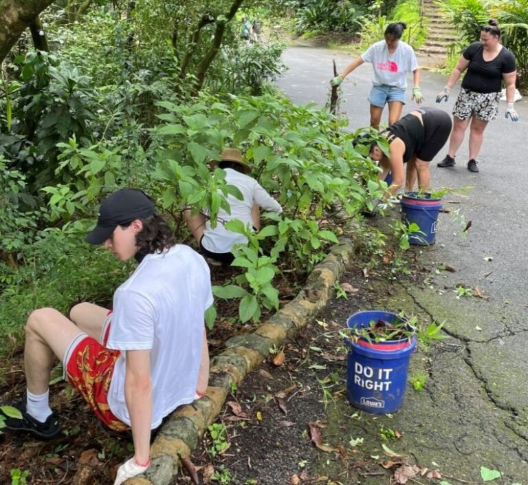 Mālama Māla – Waimea Valley Volunteer Day