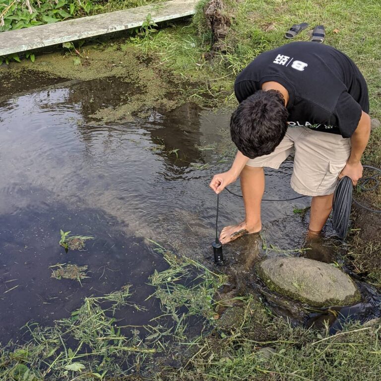 Mālama ‘Āina – 3rd Wednesday Work Day