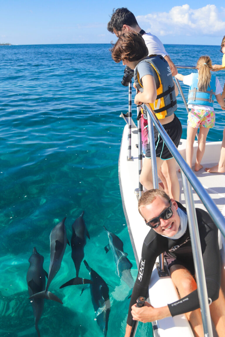 Volunteer for Whale and Dolphin Research, Naturalist