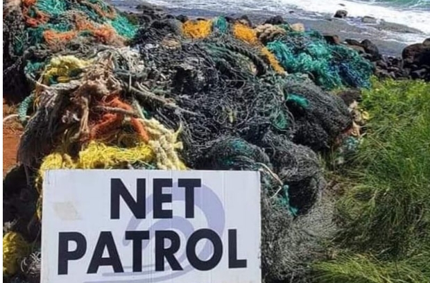 Net Patrol Coastal Cleanup